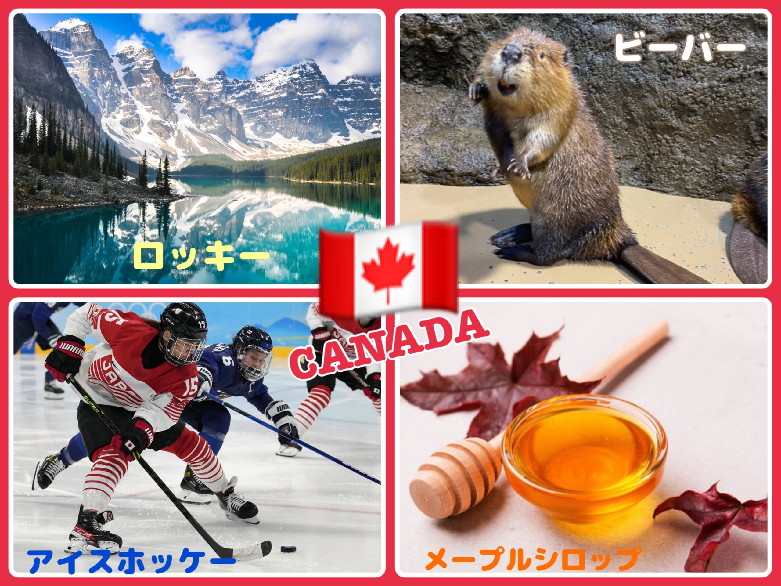 インターナショナルデイ🌏